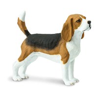 Safari ltd Chiffre Beagle