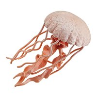 Safari ltd Jellyfish Sea Life 数字