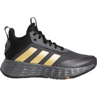 adidas-chaussure-de-basket-ball-own-the-game-2.0