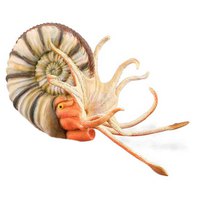 Collecta Ammonite XL 胸花图
