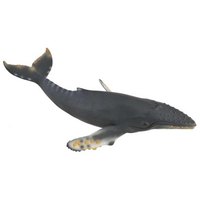 Collecta 座头鲸 XL 数字