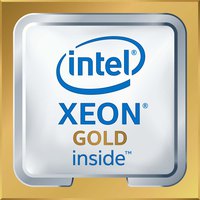 Intel S3647 Xeon Gold 5218R Tray 2.1 Ghz 处理器
