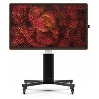 Ctouch 10052565 65´´ 4K LED Tactiele Monitor
