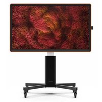 Ctouch 10052575 75´´ 4K LED Tactiele Monitor
