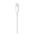 Apple Lightning To USB 2m
