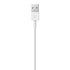 Apple Cable Lightning A USB 2 m